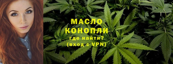молекула духа Осинники