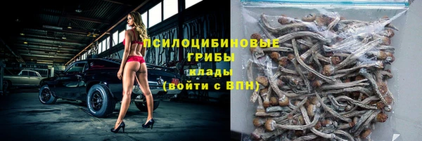 таблы Осташков