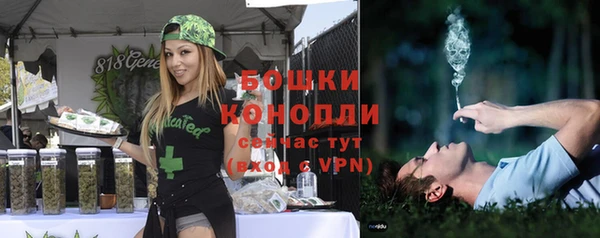 MESCALINE Няндома
